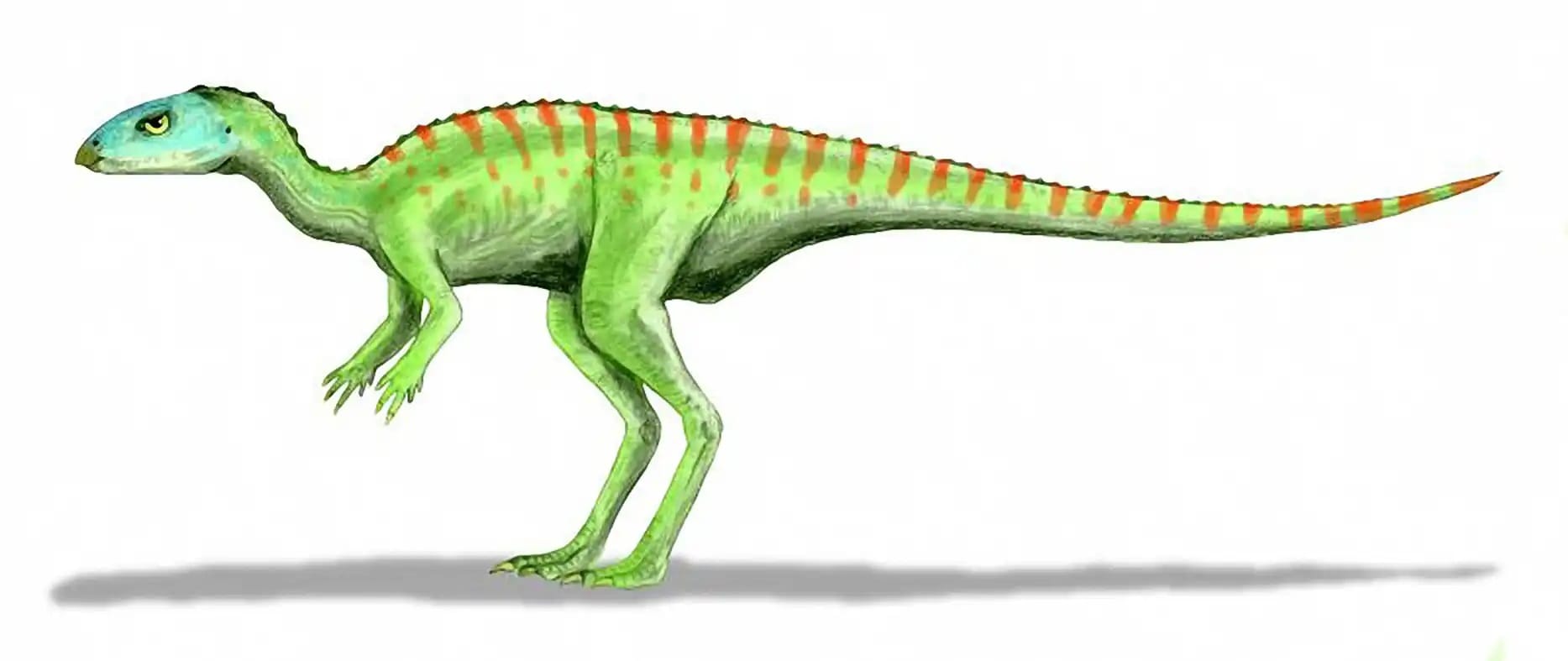 Gasparinisaura cincosaltensis (1996)
