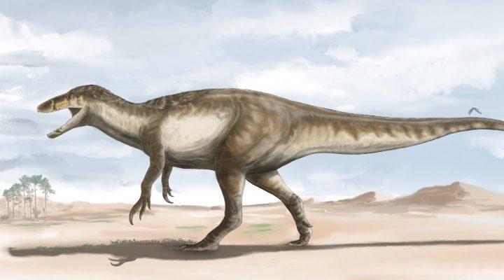 Maip macrothorax por el ilustrador argentino Agustín Ozán | Conicet