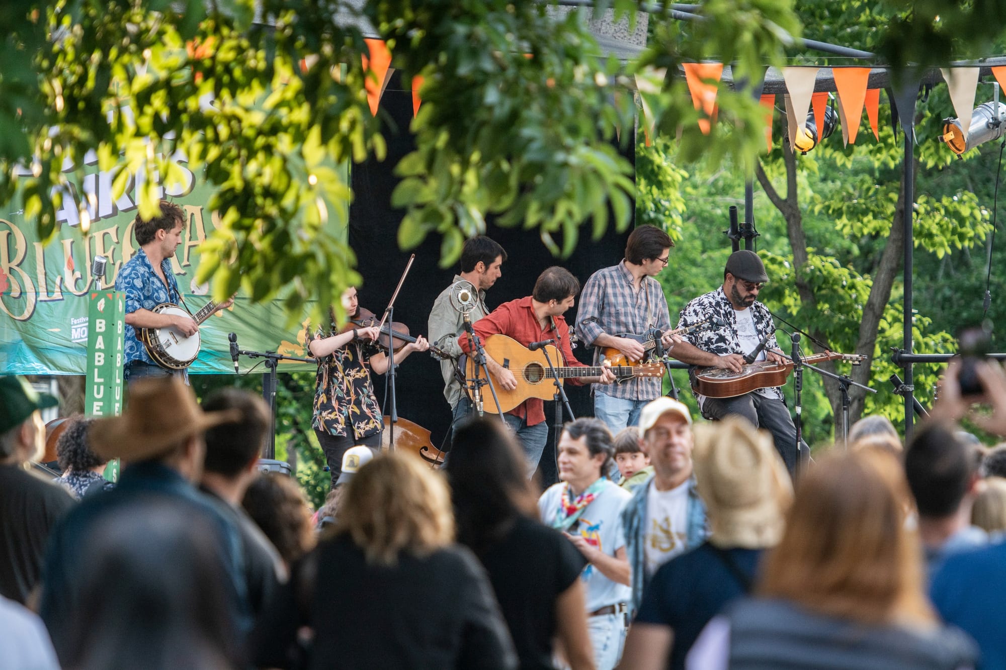 Buenos Aires Bluegrass: en Parque Avellaneda también crece pasto azulado