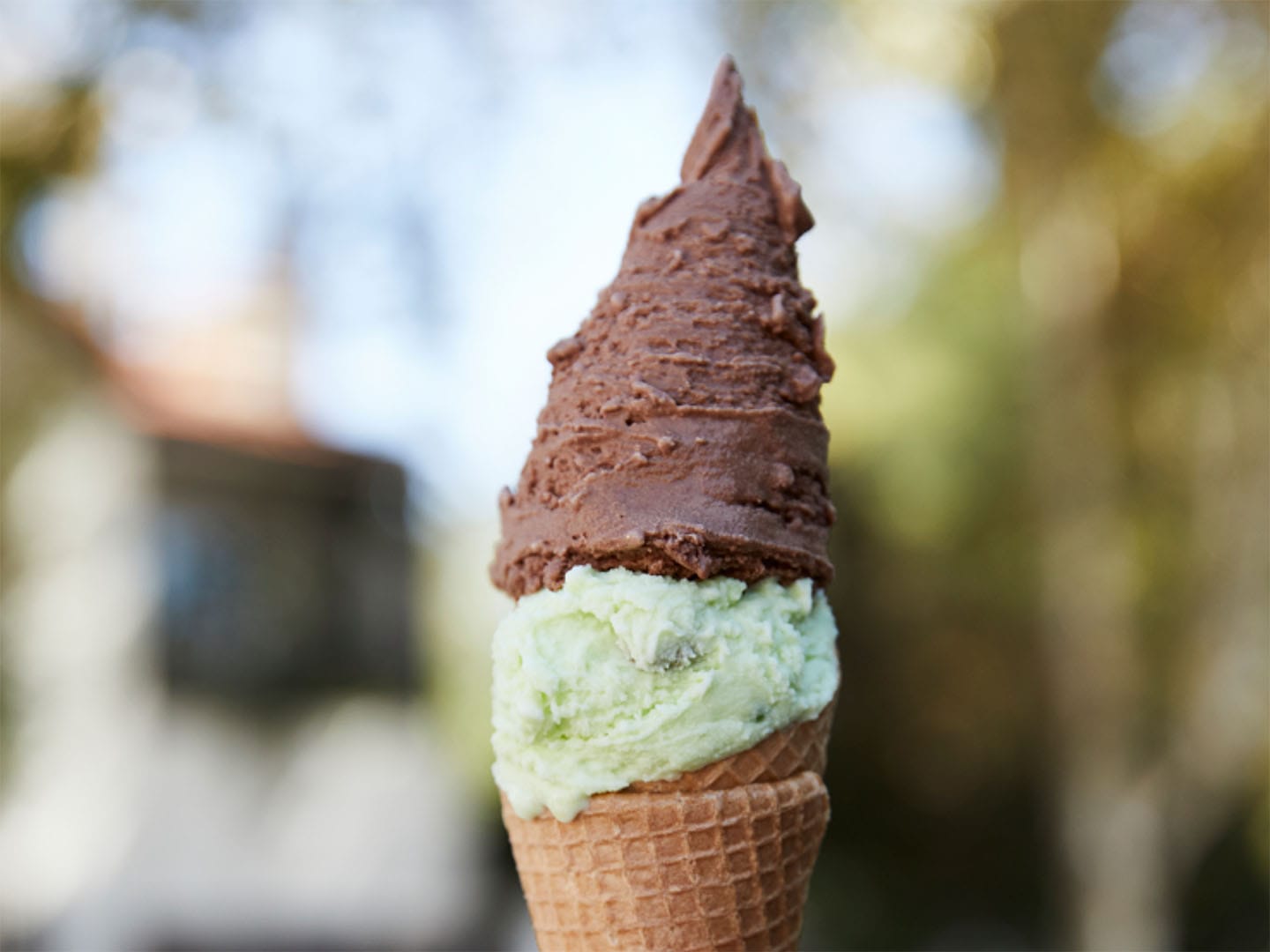 Argentine ingredients: abundant and excellent | Credit: AFADHYA