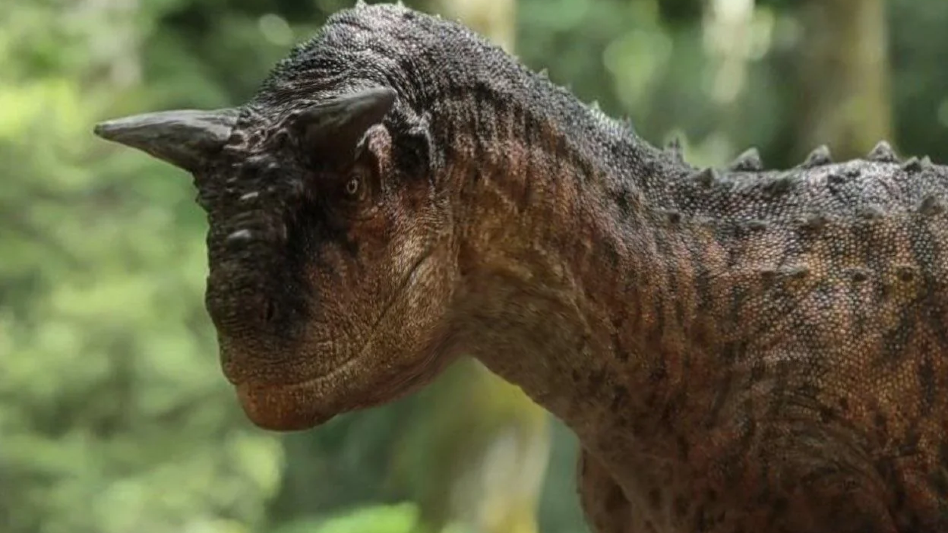 Carnotaurus: Argentina's Most Iconic Dinosaur